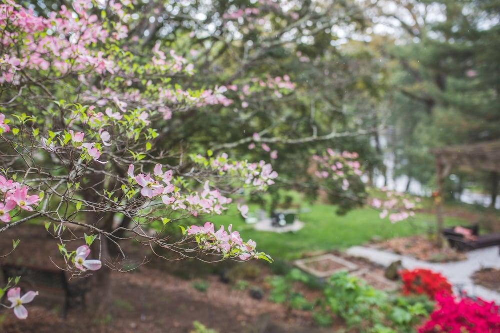 The Applewood Manor Bed & Breakfast Asheville Ngoại thất bức ảnh